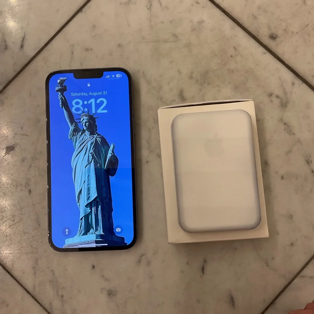 Apple iPhone 13 Pro Max in light Blue